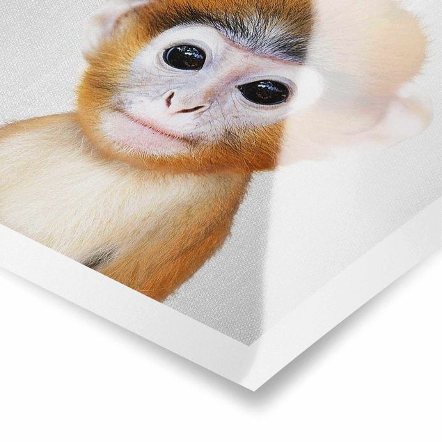 Wandbilder Schwarz-Weiß Baby Affe Anton