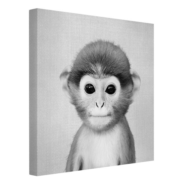 Leinwandbilder schwarz-weiß Baby Affe Anton Schwarz Weiß