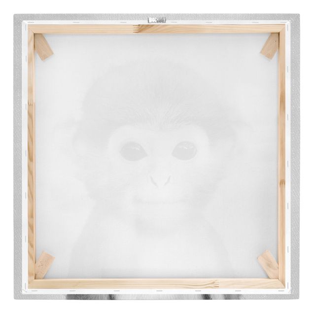 Wandbilder Schwarz-Weiß Baby Affe Anton Schwarz Weiß