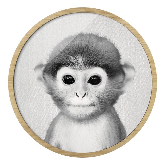 Gerahmte Bilder Tiere Baby Affe Anton Schwarz Weiß
