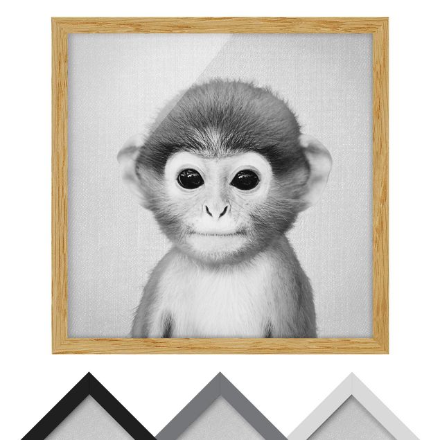 Wandbilder Schwarz-Weiß Baby Affe Anton Schwarz Weiß