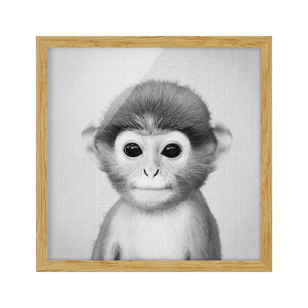 Gerahmte Bilder Tiere Baby Affe Anton Schwarz Weiß