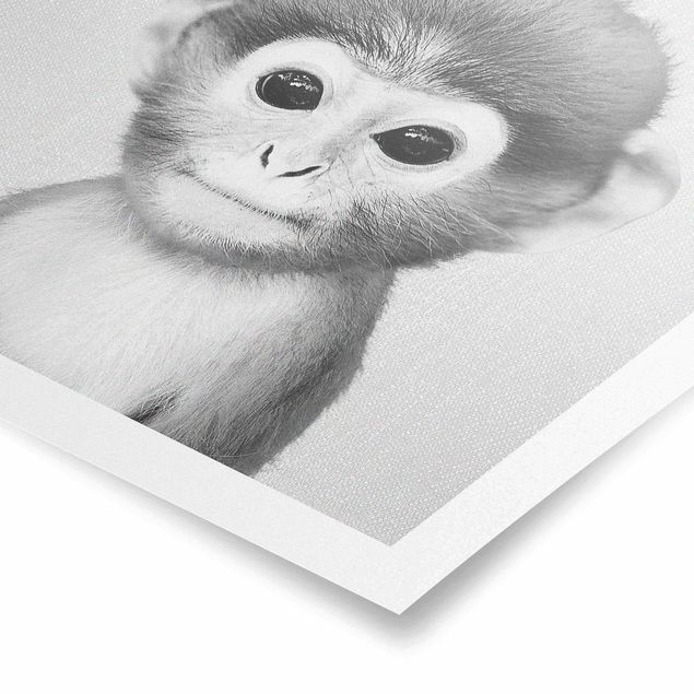 Wandbilder Modern Baby Affe Anton Schwarz Weiß