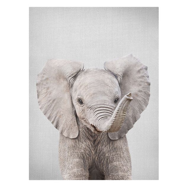 Leinwandbilder Tiere Baby Elefant Elsa