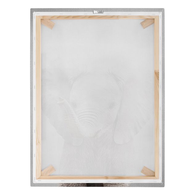 Wandbilder Schwarz-Weiß Baby Elefant Elsa