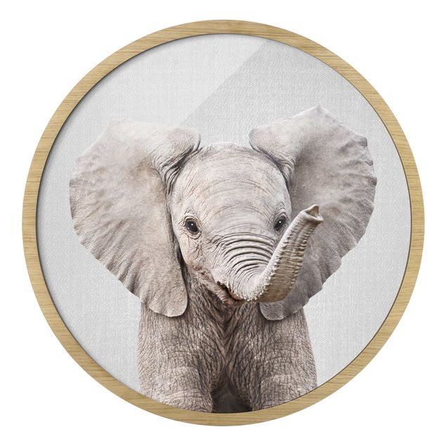 Tierbilder mit Rahmen Baby Elefant Elsa
