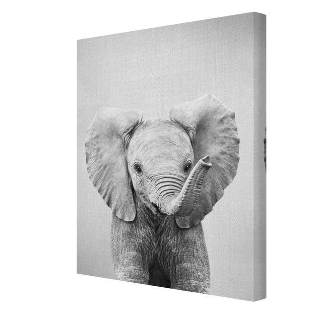 Wandbilder Modern Baby Elefant Elsa Schwarz Weiß