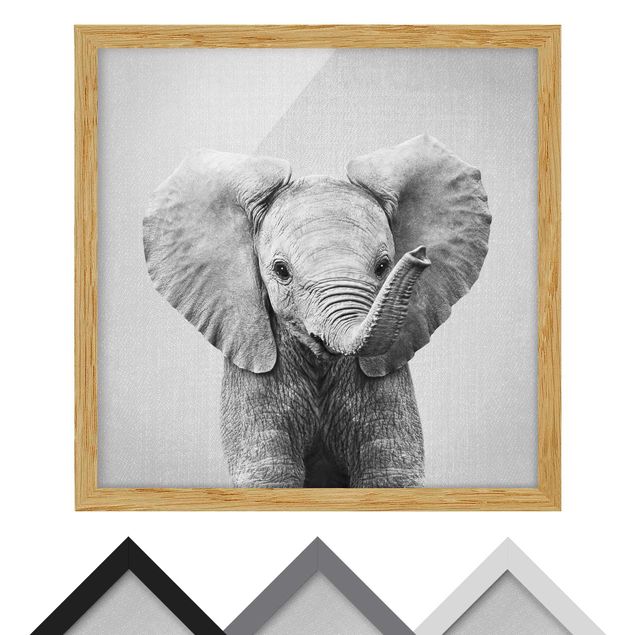 Wandbilder Schwarz-Weiß Baby Elefant Elsa Schwarz Weiß