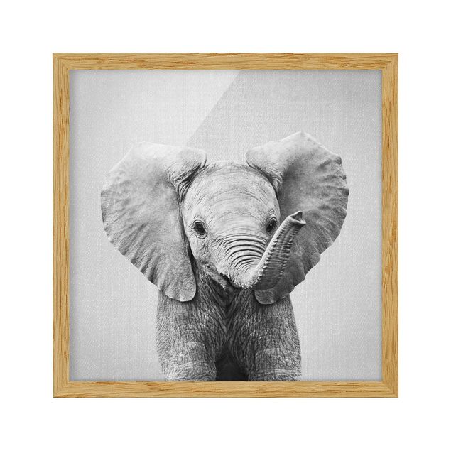 Gerahmte Bilder Tiere Baby Elefant Elsa Schwarz Weiß