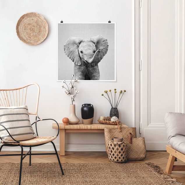Poster schwarz-weiß Baby Elefant Elsa Schwarz Weiß
