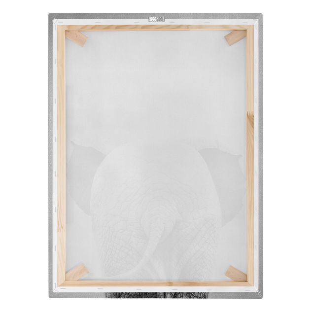 Wandbilder Schwarz-Weiß Baby Elefant von hinten Schwarz Weiß