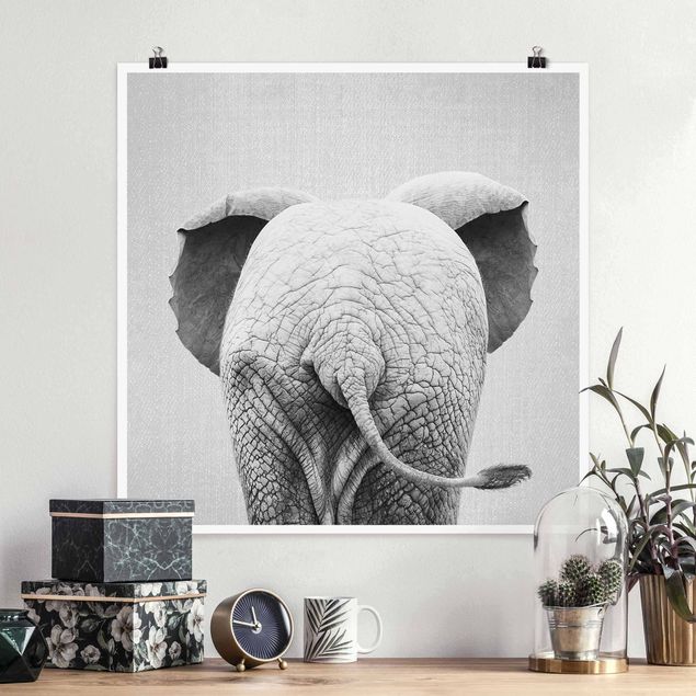 Wandbilder Elefanten Baby Elefant von hinten Schwarz Weiß