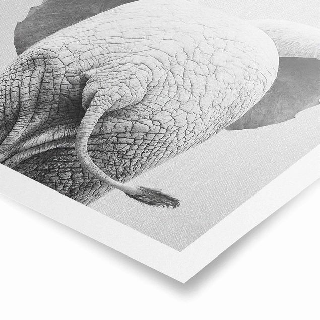 Wandbilder Modern Baby Elefant von hinten Schwarz Weiß