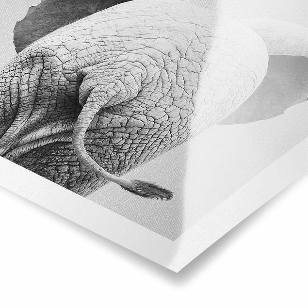 Wandbilder Schwarz-Weiß Baby Elefant von hinten Schwarz Weiß