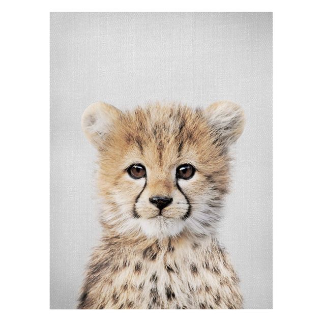 Wandbilder Modern Baby Gepard Gino