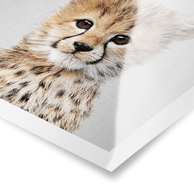 Gal Design Kunstdrucke Baby Gepard Gino
