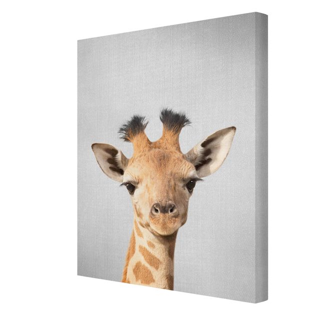 Wandbilder Modern Baby Giraffe Gandalf