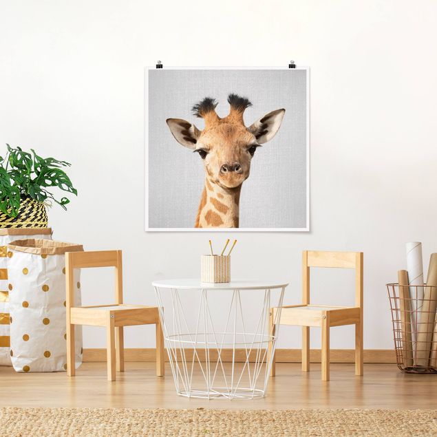 schwarz-weiß Poster Baby Giraffe Gandalf