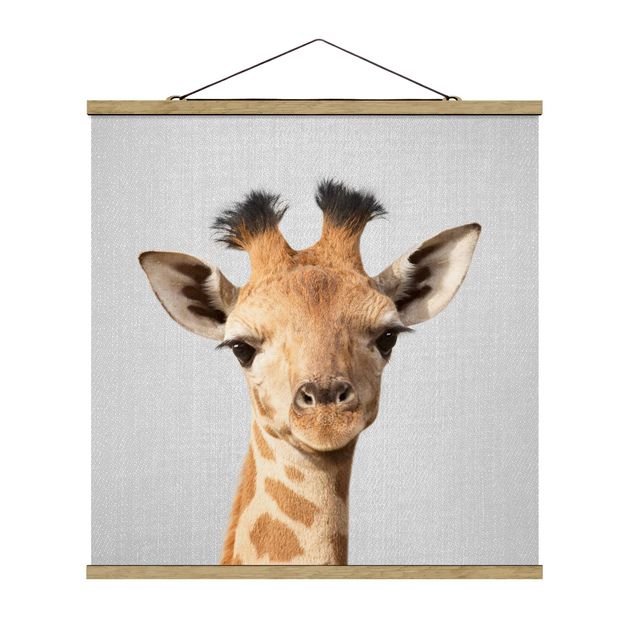 Wandbilder Tiere Baby Giraffe Gandalf