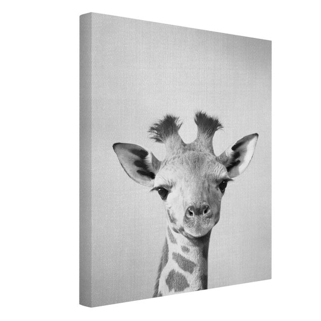 schwarz-weiß Bilder auf Leinwand Baby Giraffe Gandalf Schwarz Weiß