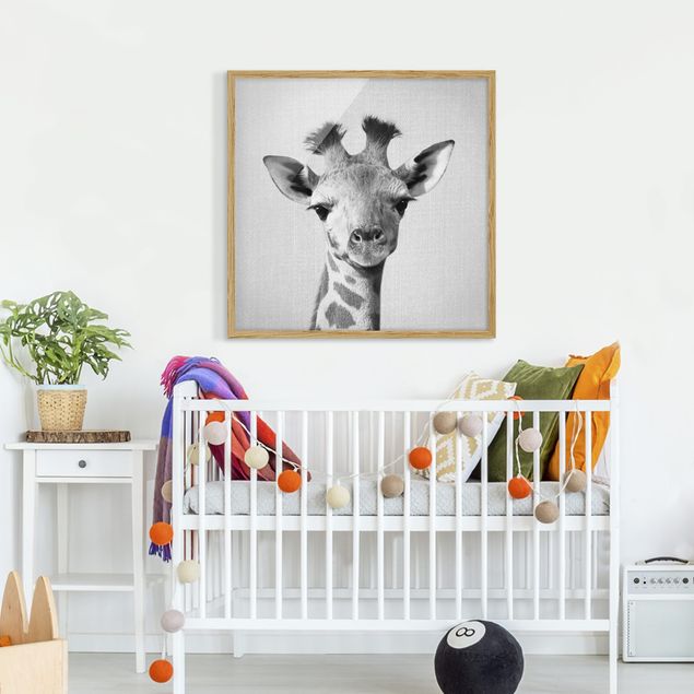 gerahmte Bilder schwarz-weiß Baby Giraffe Gandalf Schwarz Weiß