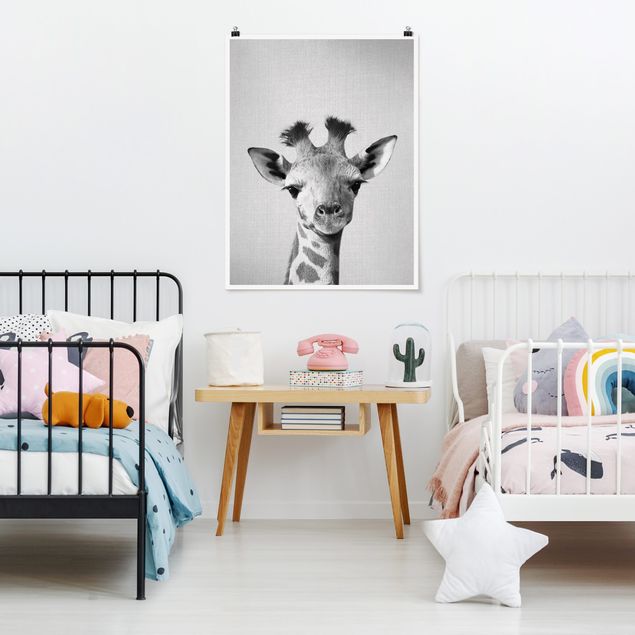 Poster schwarz-weiß Fotografie Baby Giraffe Gandalf Schwarz Weiß