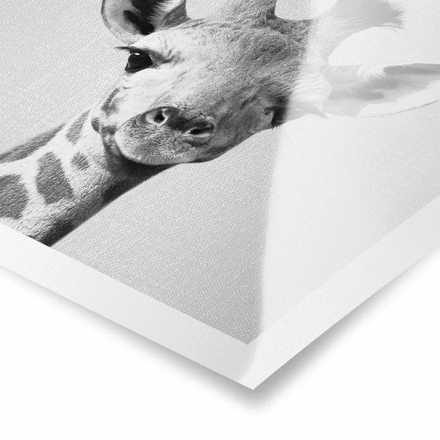 Wandbilder Schwarz-Weiß Baby Giraffe Gandalf Schwarz Weiß
