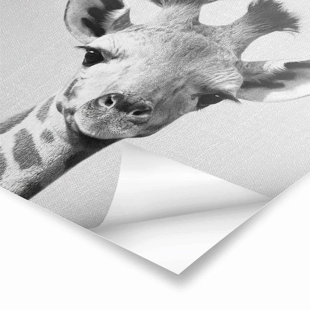 Gal Design Kunstdrucke Baby Giraffe Gandalf Schwarz Weiß