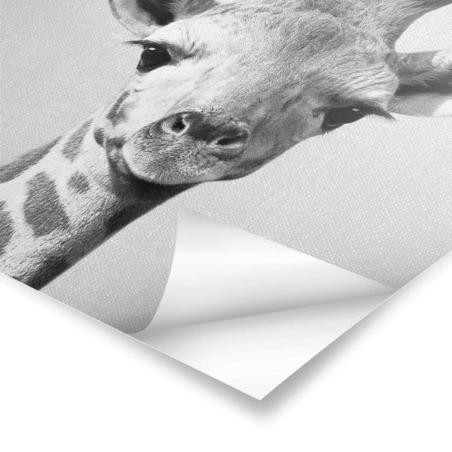 Gal Design Drucke Baby Giraffe Gandalf Schwarz Weiß
