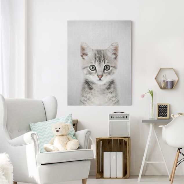 Wandbilder Katzen Baby Katze Killi