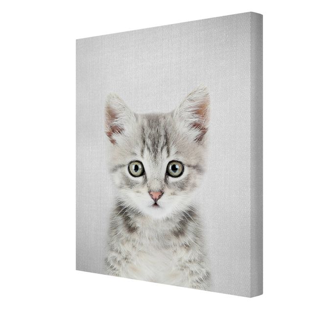Wandbilder Modern Baby Katze Killi
