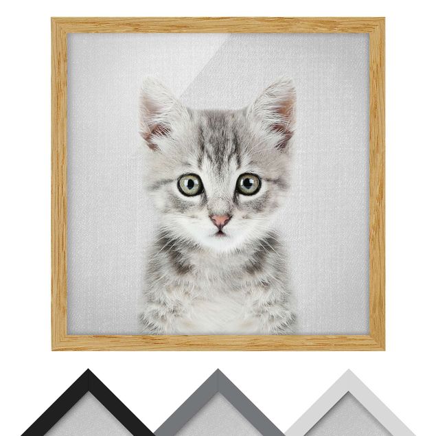 Wandbilder Schwarz-Weiß Baby Katze Killi