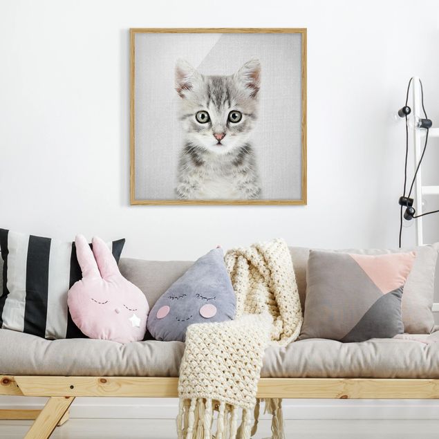 Wandbilder Katzen Baby Katze Killi