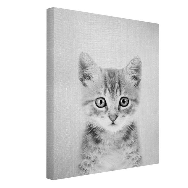 Leinwandbilder schwarz-weiß Baby Katze Killi Schwarz Weiß