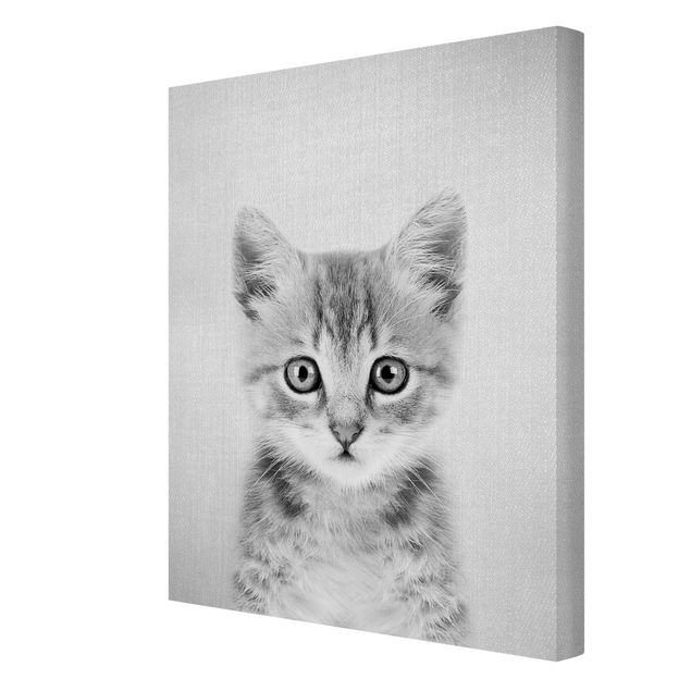 Wandbilder Modern Baby Katze Killi Schwarz Weiß