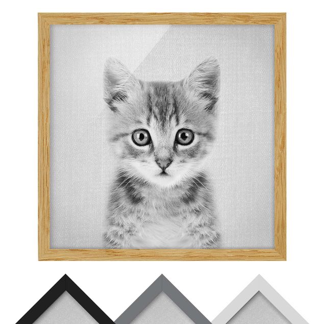 Wandbilder Schwarz-Weiß Baby Katze Killi Schwarz Weiß