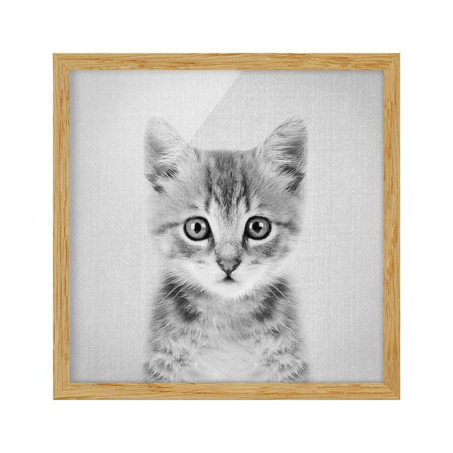 Tierbilder mit Rahmen Baby Katze Killi Schwarz Weiß