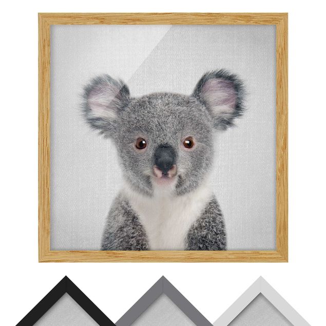 Gal Design Bilder Baby Koala Klara