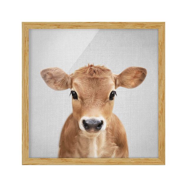Wandbilder Modern Baby Kuh Kira