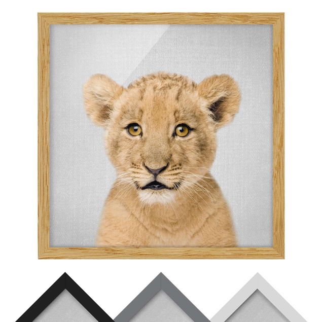 Wandbilder Schwarz-Weiß Baby Löwe Luca