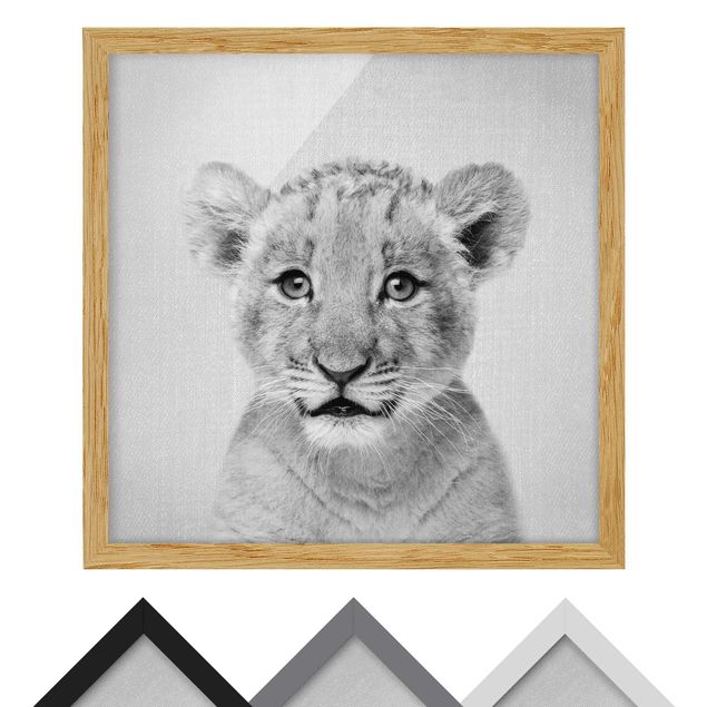 Wandbilder Schwarz-Weiß Baby Löwe Luca Schwarz Weiß