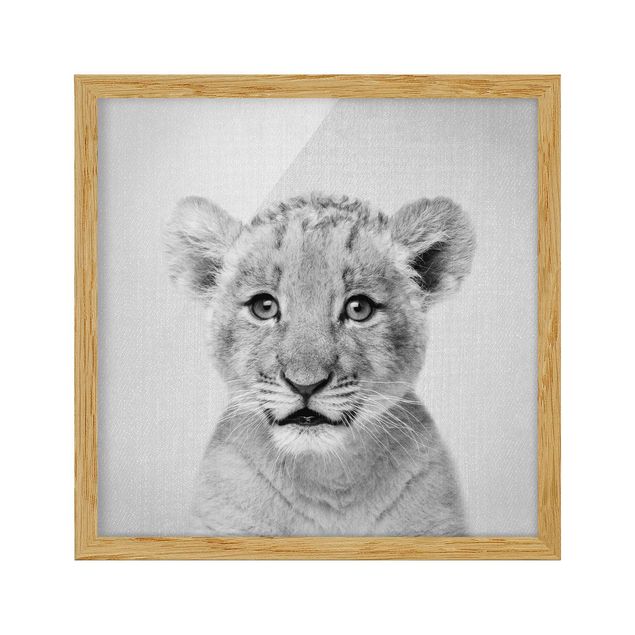 Gerahmte Bilder Tiere Baby Löwe Luca Schwarz Weiß