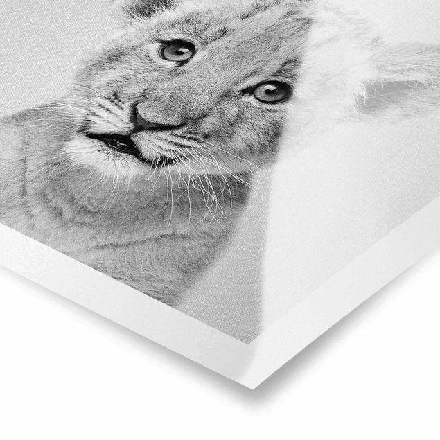 Wandbilder Schwarz-Weiß Baby Löwe Luca Schwarz Weiß
