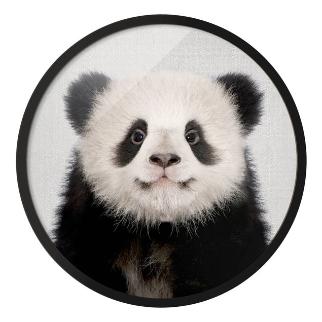 Gerahmte Bilder Tiere Baby Panda Prian