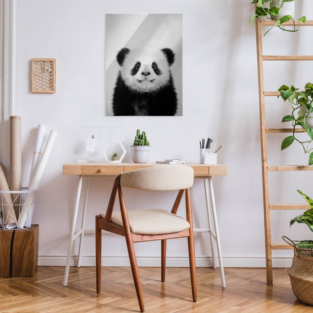 Glasbilder Tiere Baby Panda Prian Schwarz Weiß