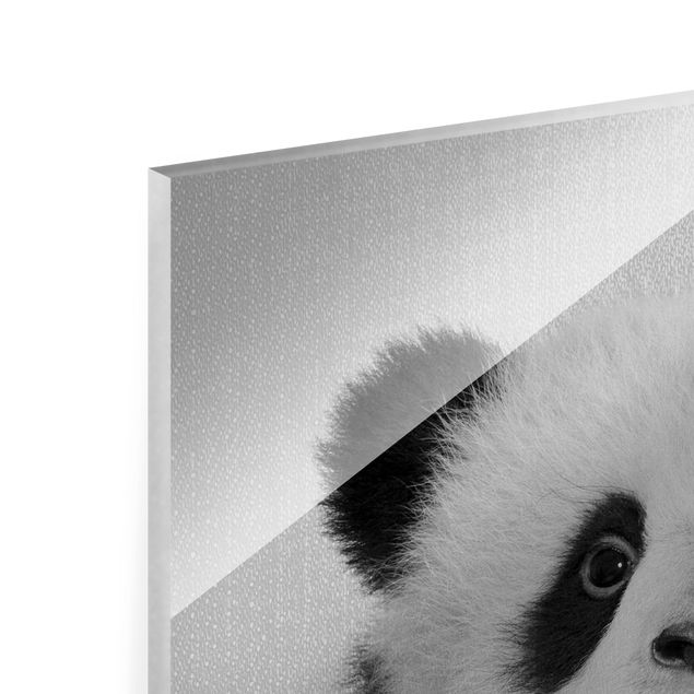 Wandbilder Schwarz-Weiß Baby Panda Prian Schwarz Weiß