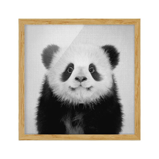 Tierbilder mit Rahmen Baby Panda Prian Schwarz Weiß