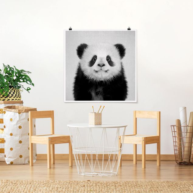 Poster schwarz-weiß Fotografie Baby Panda Prian Schwarz Weiß