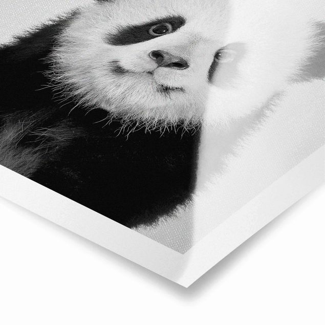 Wandbilder Schwarz-Weiß Baby Panda Prian Schwarz Weiß