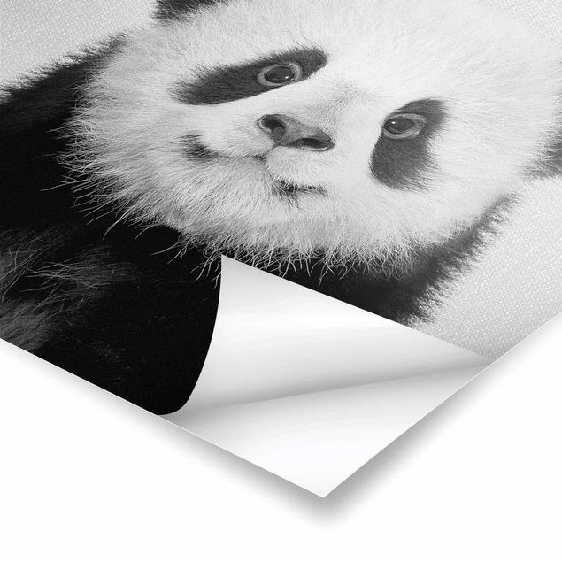 Gal Design Drucke Baby Panda Prian Schwarz Weiß